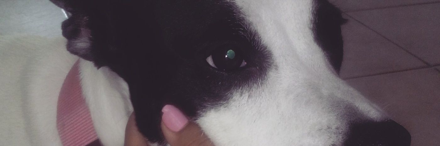Drown_x3's profile banner image