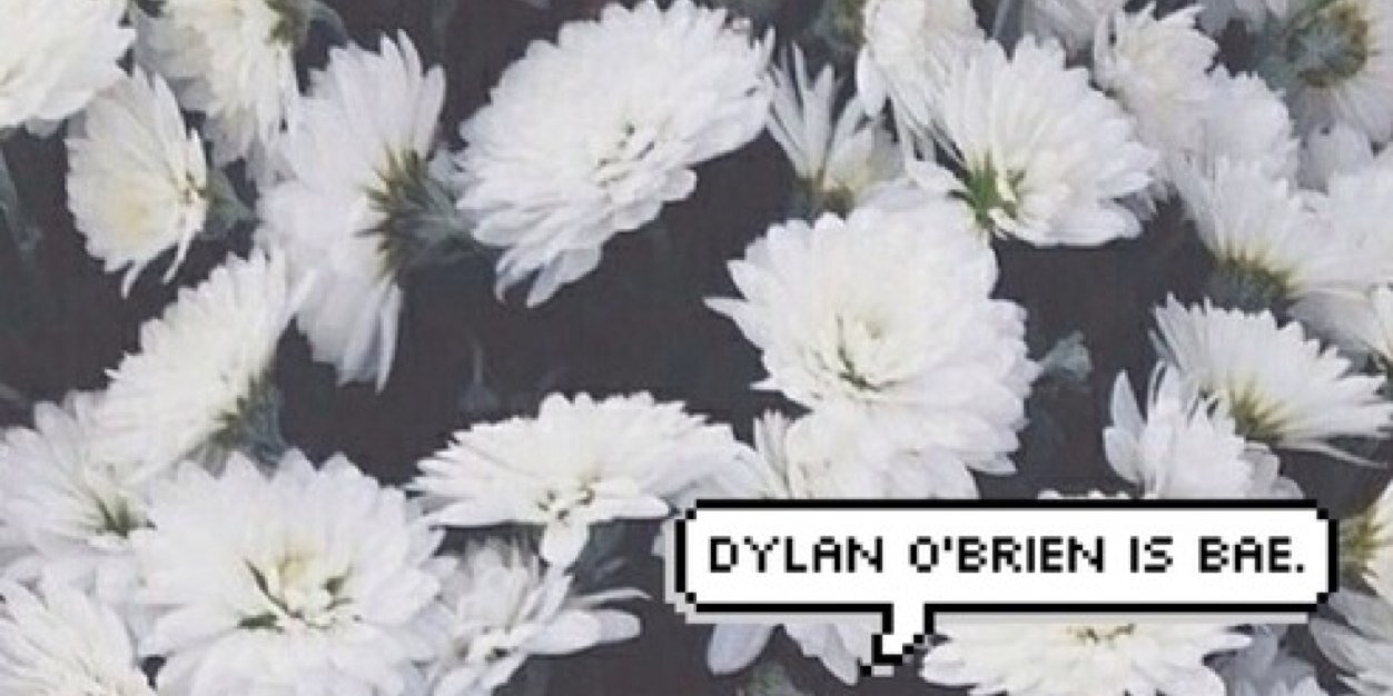 whoere's profile banner image