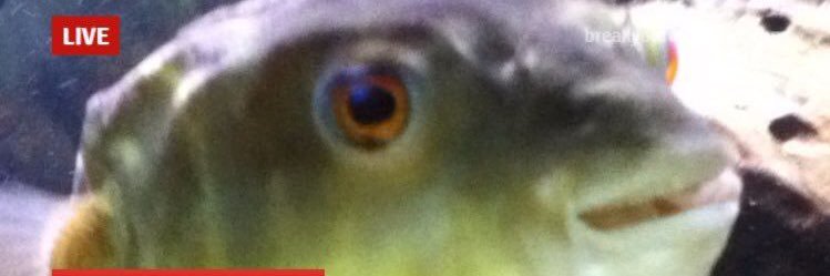 ItsEnigmaxD's profile banner image