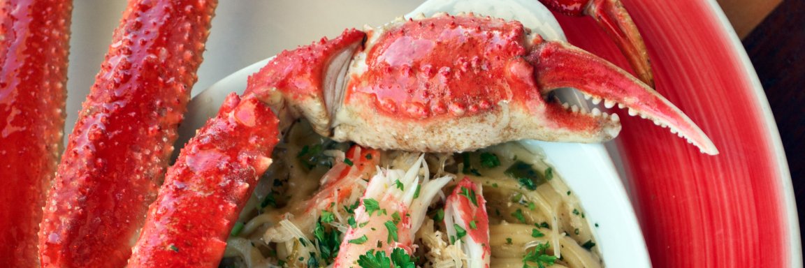 crabtrapdestin's profile banner image