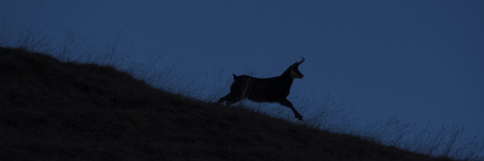 ClaGhiz's profile banner image