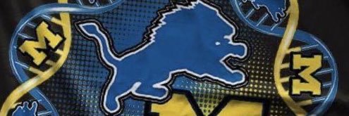 Aubie Nicole 🏁♍️ banner