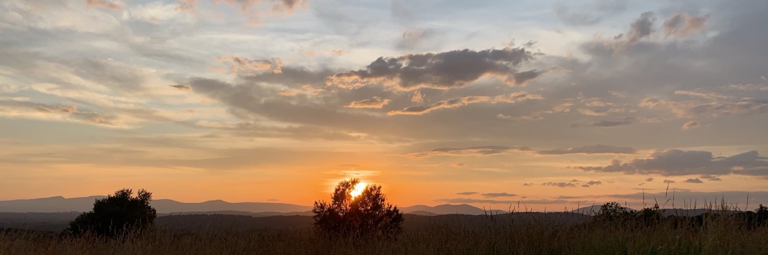 abbywells_17's profile banner image