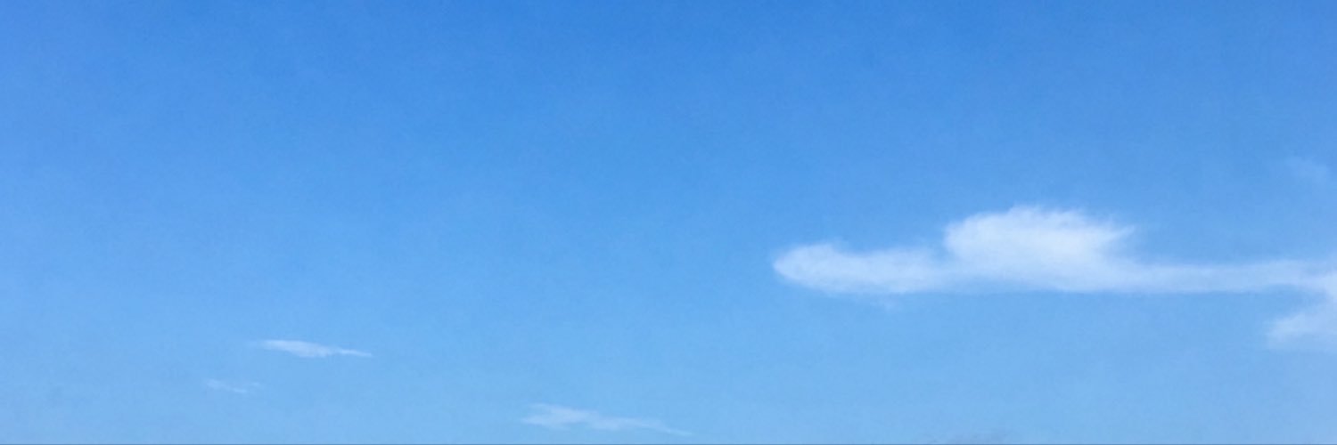 vivi banner