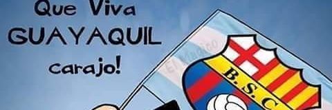 Vera2014Luis's profile banner image