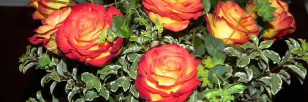 WhitakerMoss Profile Banner
