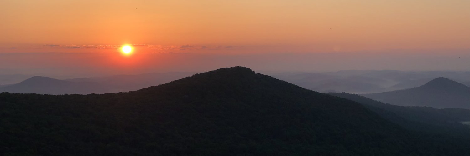 lizzyninesling's profile banner image