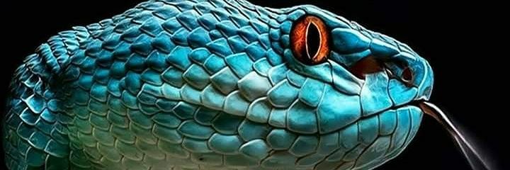 RIGO1A's profile banner image