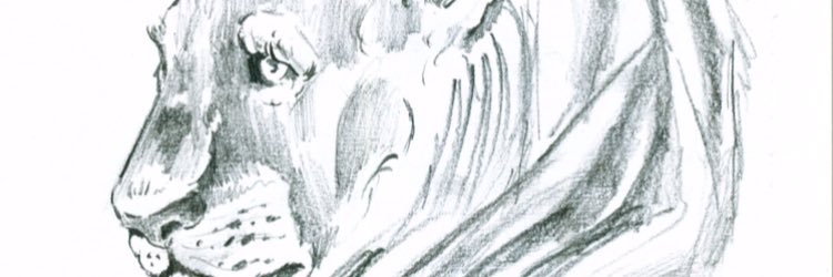 DillonVaranay's profile banner image