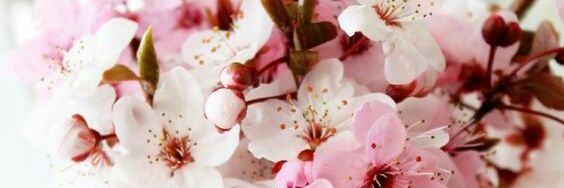tetete_v_bot's profile banner image