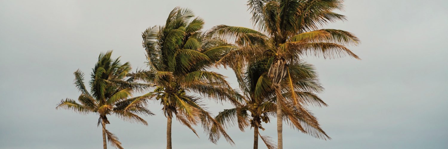 bodihearn's profile banner image