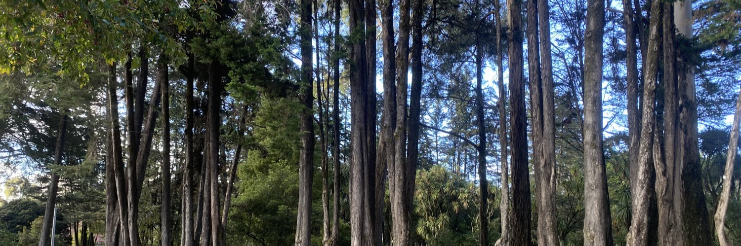 Felipe Riveros banner