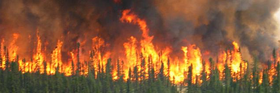 WxOps_fire's profile banner image
