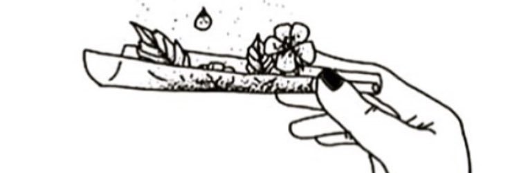 XQueenisis's profile banner image