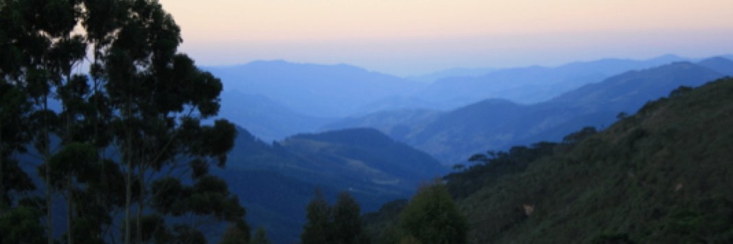 hterni's profile banner image