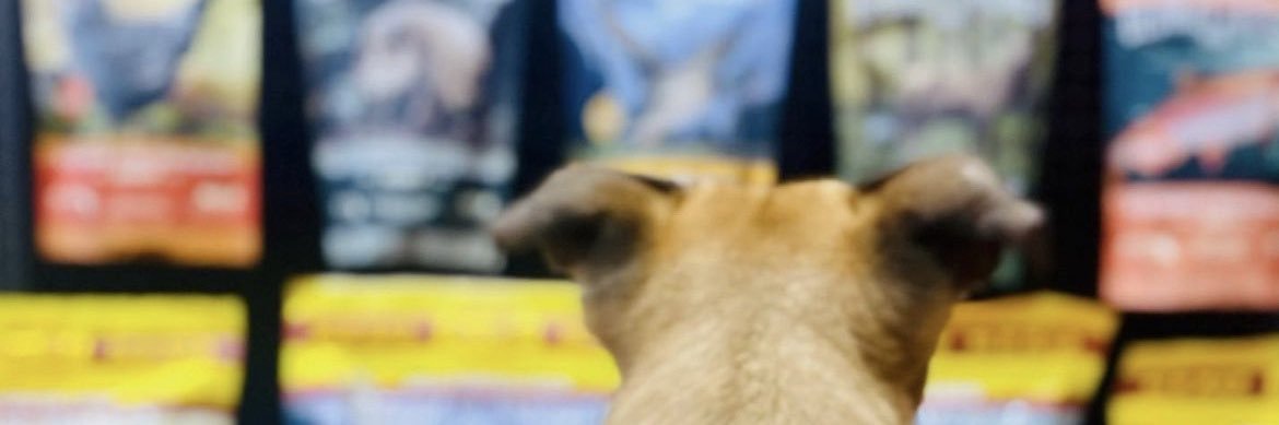 HWFeed's profile banner image