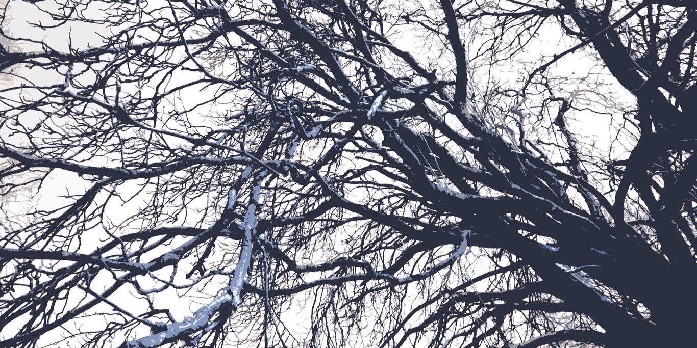 sorryimgrasi's profile banner image