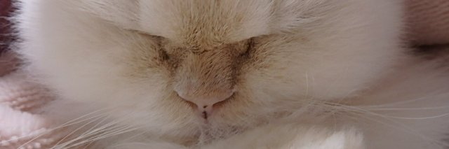alomanaty's profile banner image