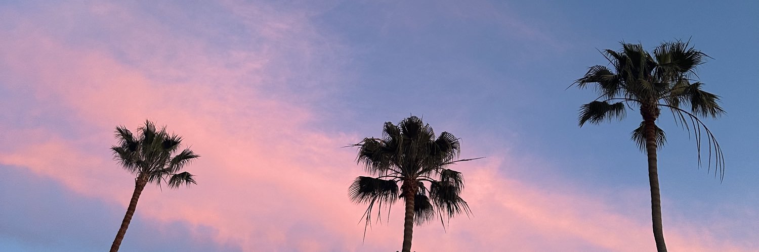 dvobrandon's profile banner image
