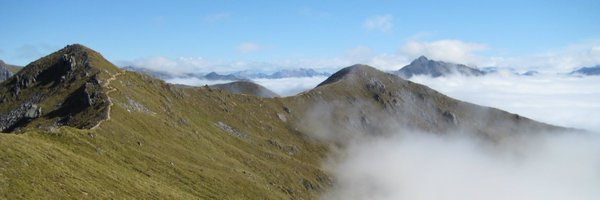 rnovak77 Profile Banner