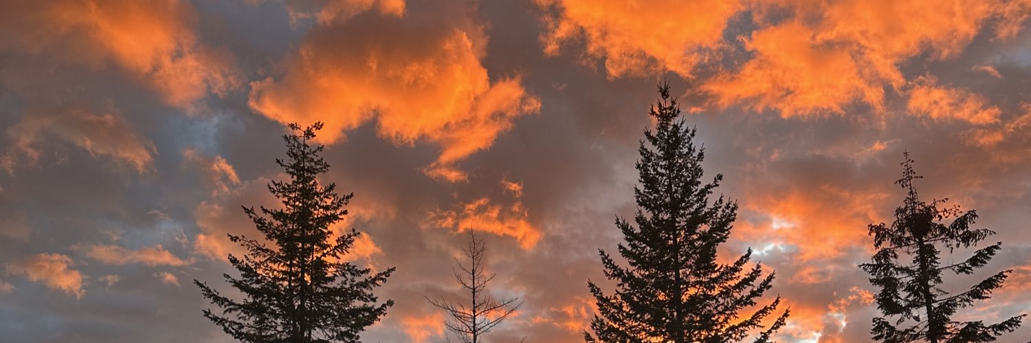 jeffsitton's profile banner image