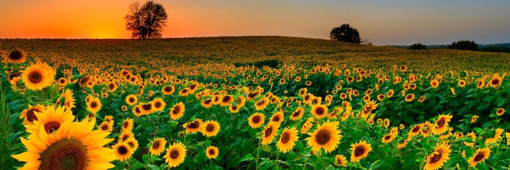 Dkaye7683's profile banner image