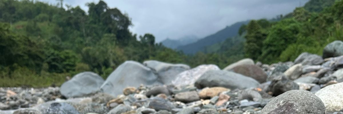 LishethC's profile banner image