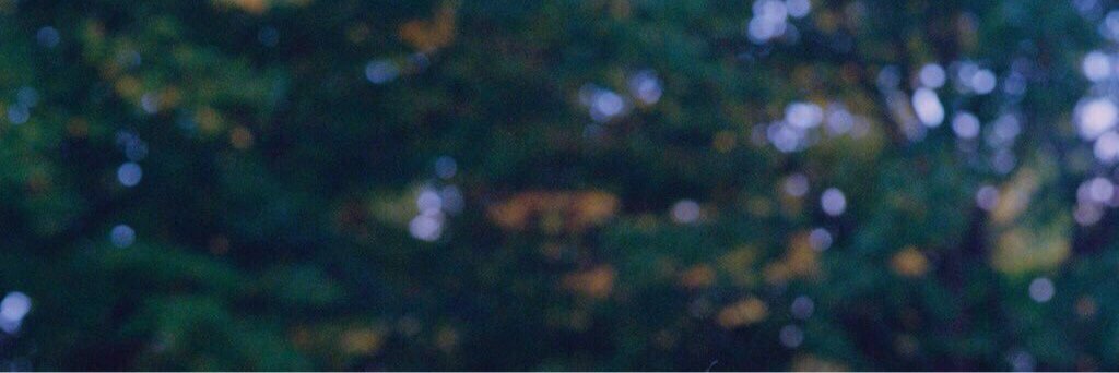 ayesebastian's profile banner image
