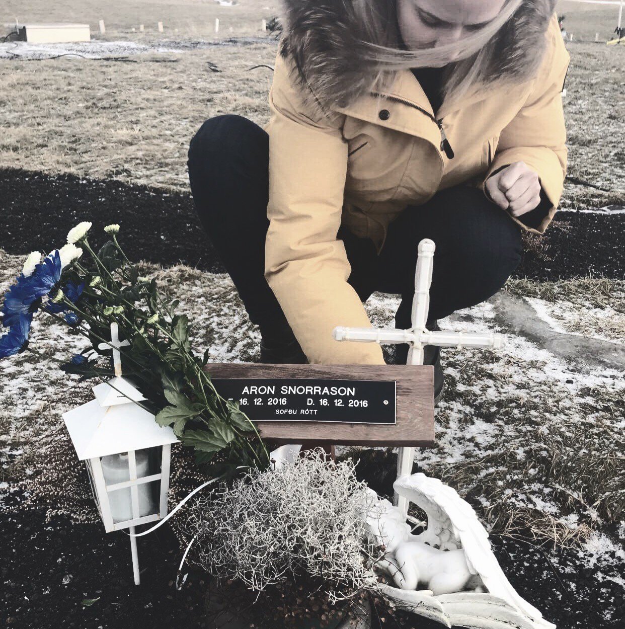 margretprebens's profile banner image