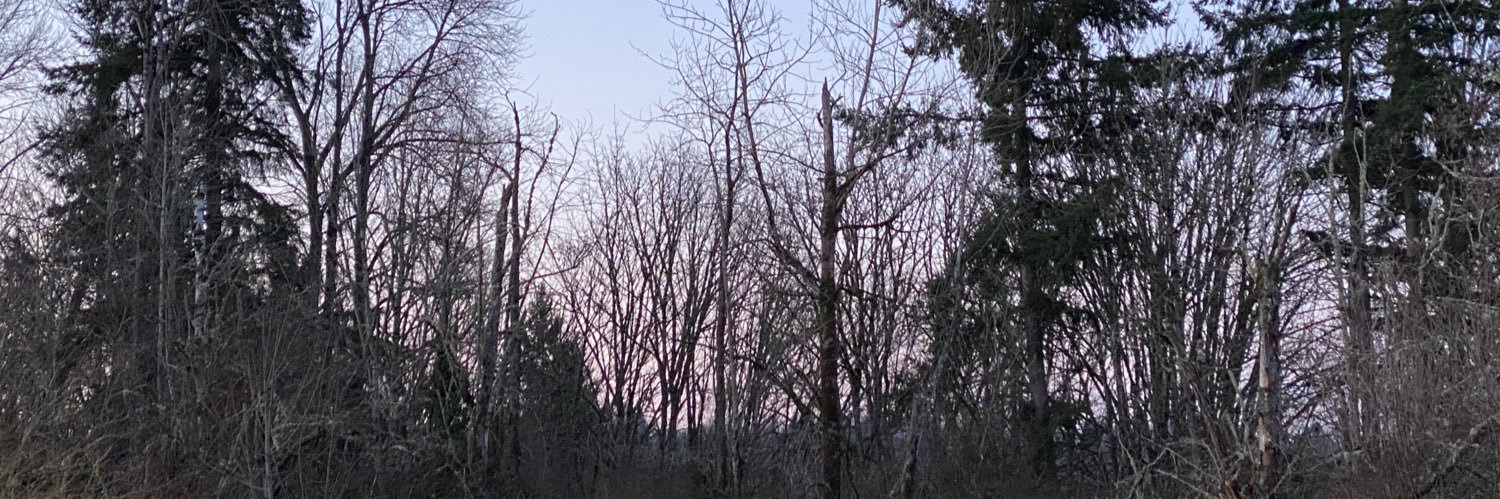 wickedmissedith's profile banner image
