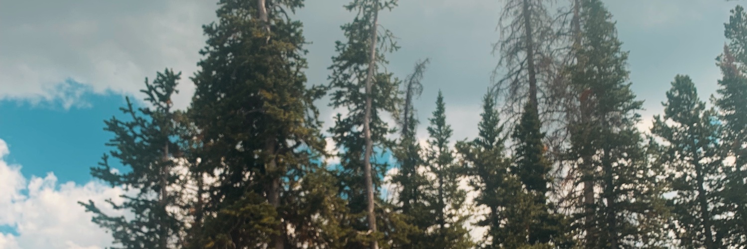 moana24t's profile banner image