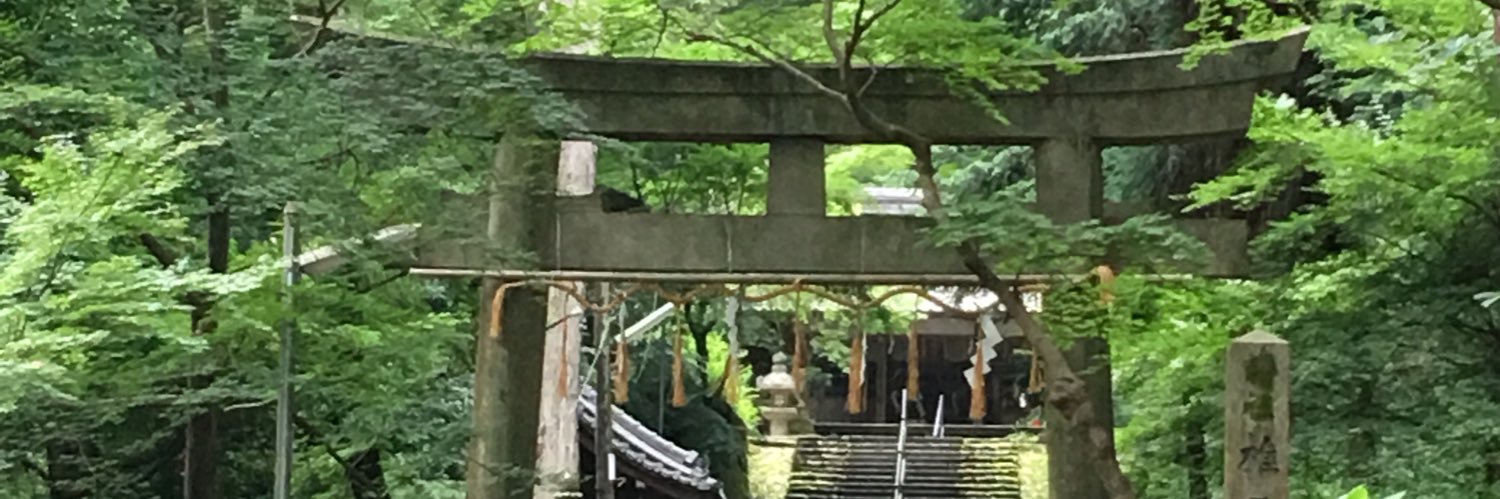 Victoria Albert banner