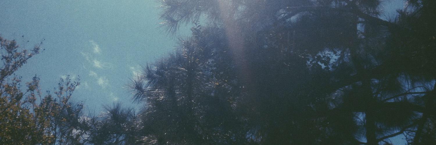 kimberstar19's profile banner image