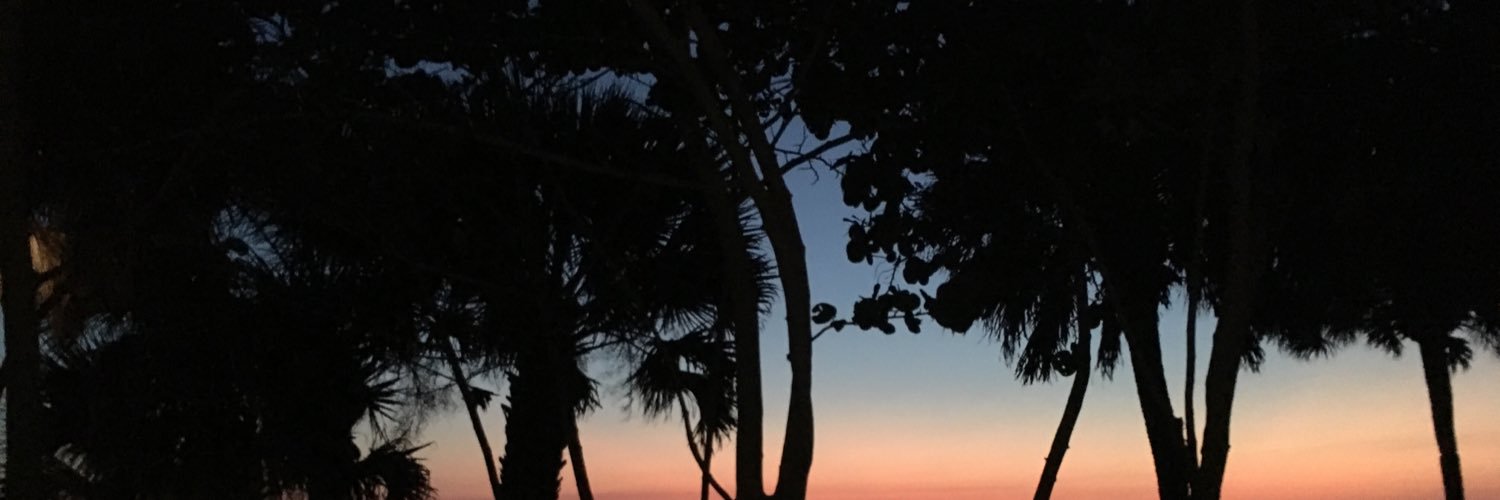 michaelllam's profile banner image
