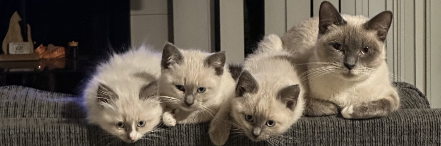 ssanchezz71's profile banner image