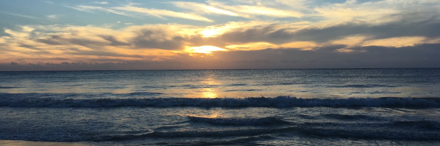 KarlaRejasCh's profile banner image
