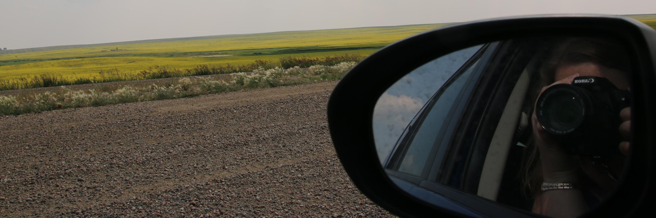vspaterson's profile banner image