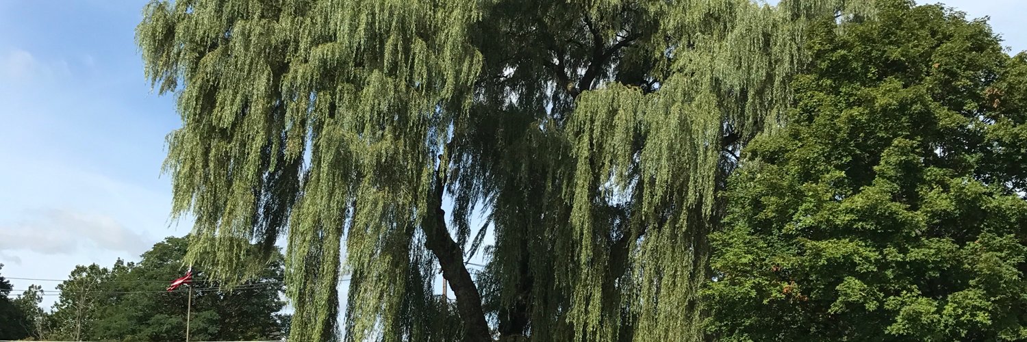 theputzboy's profile banner image