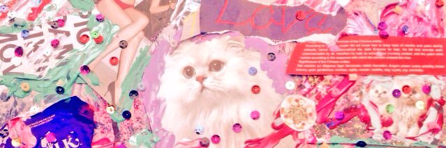 dorimi_0611's profile banner image