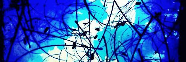 C0ffeeWoo's profile banner image