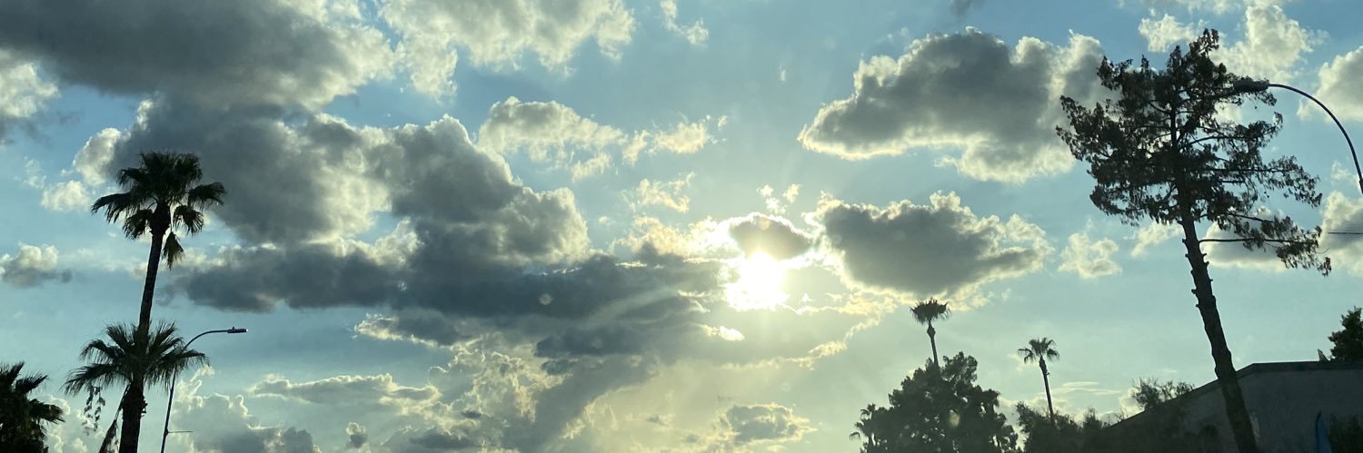 terynslade's profile banner image