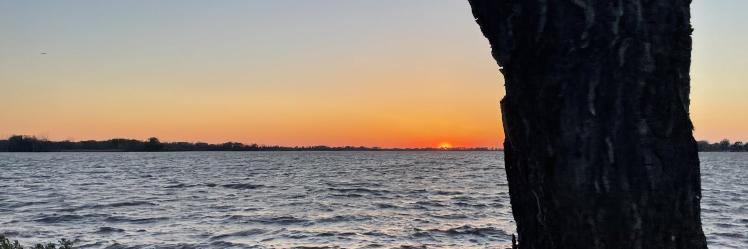Reis_coy's profile banner image