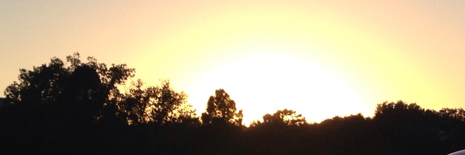 SherilynSmith's profile banner image
