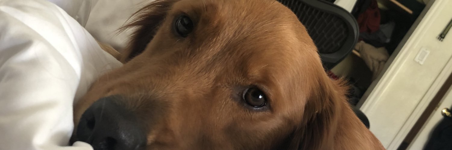 dvelascostco's profile banner image