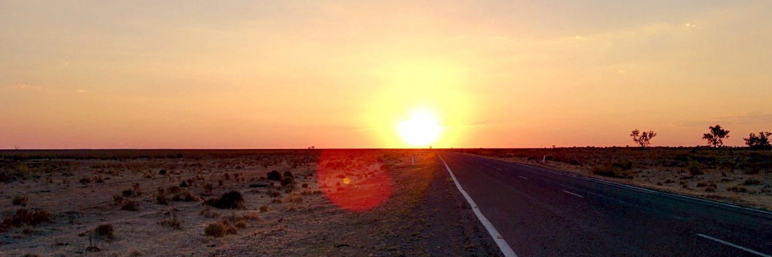 Michael Sciffer banner