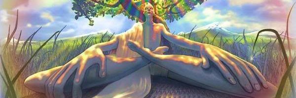 Luz_Flou's profile banner image