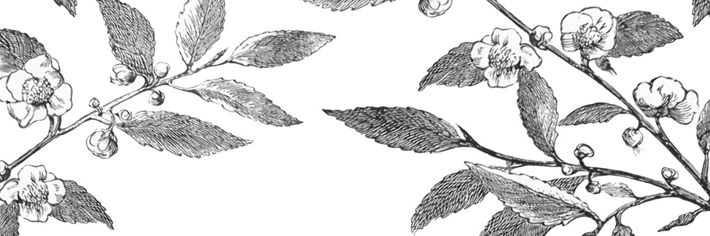 andreagg45's profile banner image