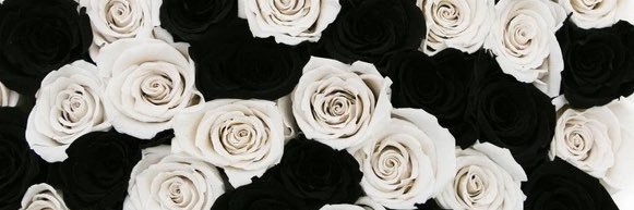 RR banner