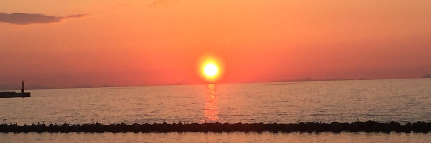 maribom91's profile banner image