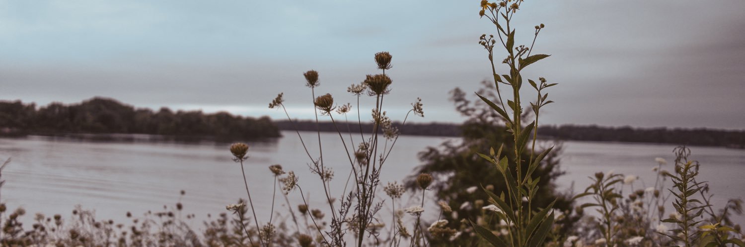 kaylamcbride_'s profile banner image